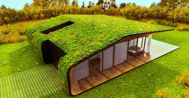 Зеленая крыша — красивая экология