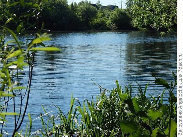 Поливайте огород: он ведь тоже воду пьет!