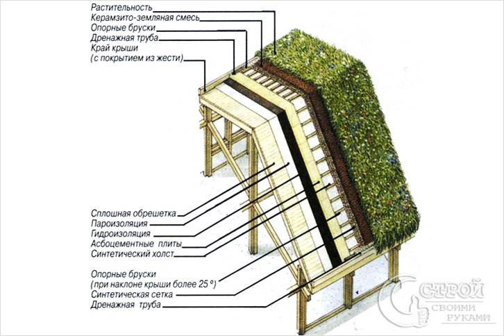 Как сделать газон на крыше