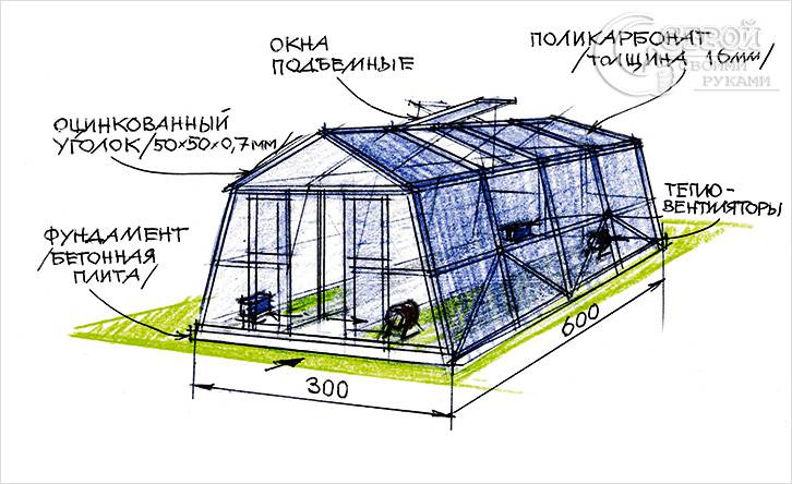 Теплица из поликарбоната своими руками