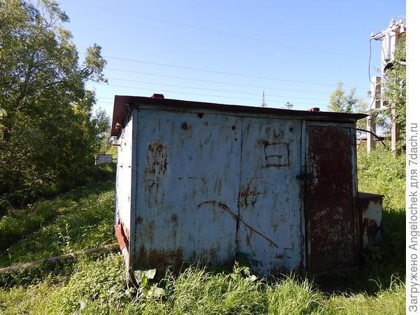 Поливайте огород: он ведь тоже воду пьет!