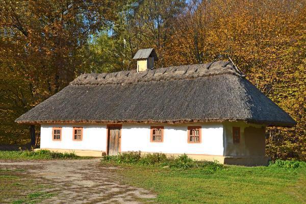 Эко-кровля из глины, дёрна, стеблей, листьев и водорослей