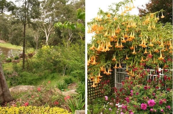 Как сделать сад красивым: 10 визуальных эффектов. Фото