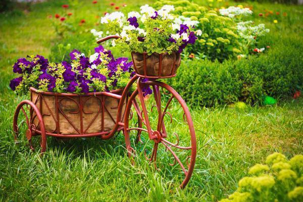 12 простых способов украсить сад от Ольги Вороновой. Фото