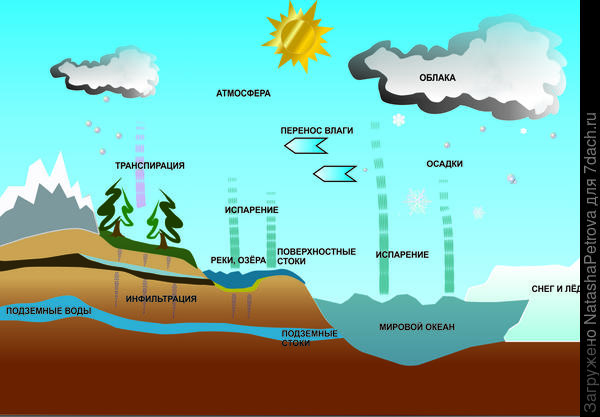 Водоносные горизонты и подземные воды