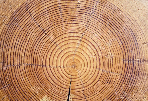 Техники состаривания древесины: браширование и обжиг. Фото, видео